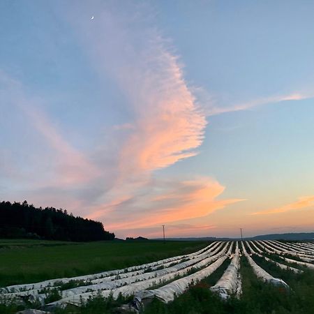 Wohnen Im Wasserschloss Sandizell Шробенхаузен Экстерьер фото